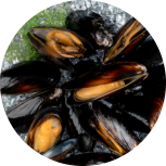 mejillones_premium