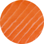 salmon_premium